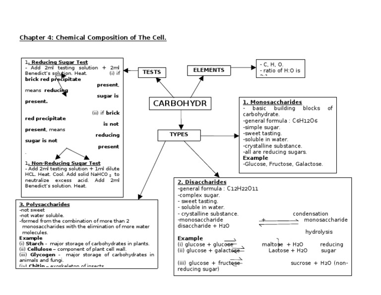 Chapter 4 Carbohydrate Mind Map