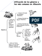 Clave Dicotomica Generos Hongos