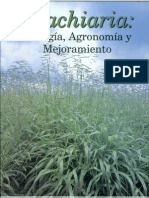 Brachiaria Biología Agronomía y Mejora