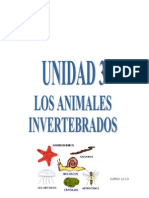 Los Animales Invertebrados