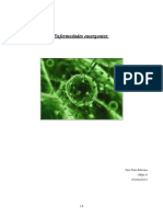 Enfermedades Infecciosas, 1 Bat A, Pere Pons Subirana