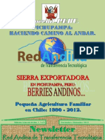 Newsletter Nº2 Red Andina de Transferencia Tecnológica