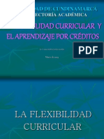 Flexibilidad Curricular