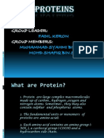 Chapter 4 Proteins