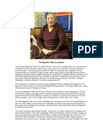 Biographical Interview With Ngaktrin Tulku - Tsewang Dechen Rinpoche