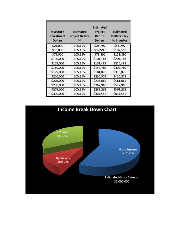 Investment Returns and Profit Breakdown | PDF
