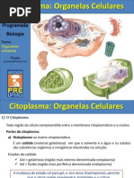 Aula Organelas Citoplasmáticas