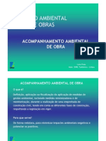 Acompanhamento Ambiental de Obras-LPinto