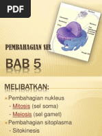 Download Bab 5 Biologi Tingkatan 4 by Siti Wahida Suleiman SN120268857 doc pdf