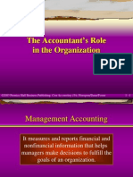 Accountants Role