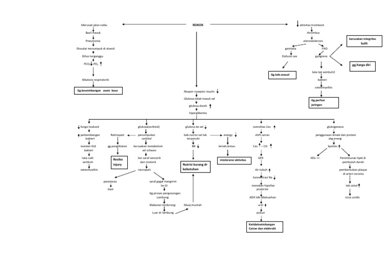 Woc Dm Tipe 2 Pathway Diabetes Melitus Tipe 2 Pdf Obe - vrogue.co