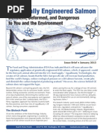 Download Genetically Engineered Salmon Deficient Deformed and Dangerous to You and the Environment by Food and Water Watch SN120308359 doc pdf