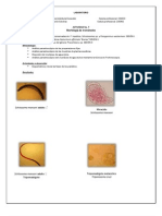 Reporte 7 Parasitolgia