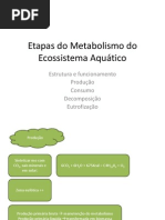 Etapas Do Metabolismo Aquatico
