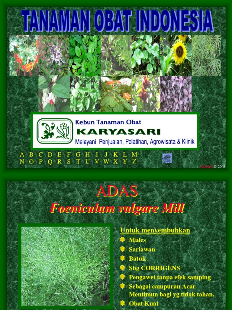 tanaman obat indonesia