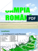 Campia Romana