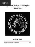 Fortitude Training by Scott Stevenson Printable | PDF | Muscle ...