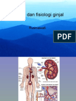 Anatomi Dan Fisiologi Ginjal