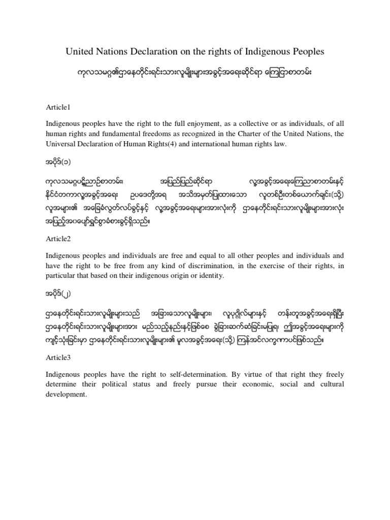 UNDRIP Eng / Burmese | PDF