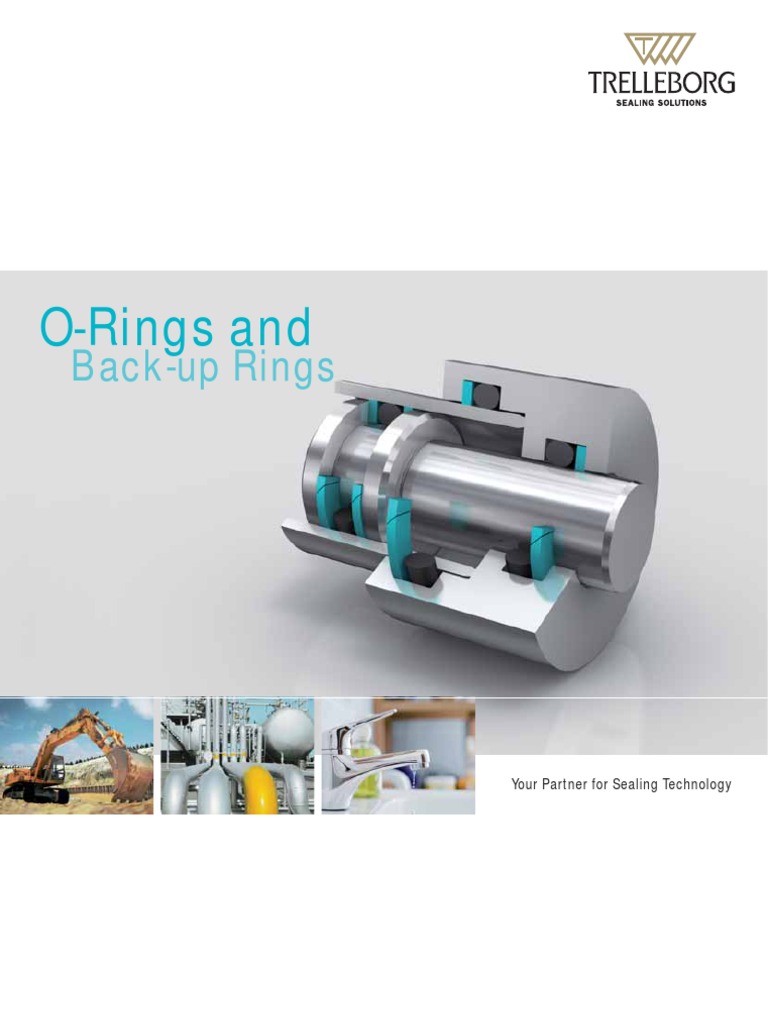 O Ring PDF