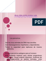 Parvovirus