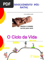 desenvolvimento pos natal
