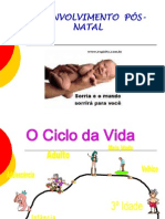 Desenvolvimento Pos Natal