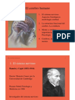 El Cerebro