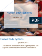 Human Body Systems: Section 35 - 1