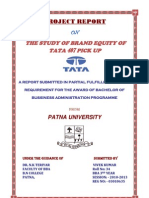 Project Report: The Study of Brand Equity of Tata 407 Pick Up