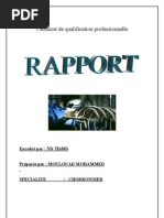 Rapport de Stage