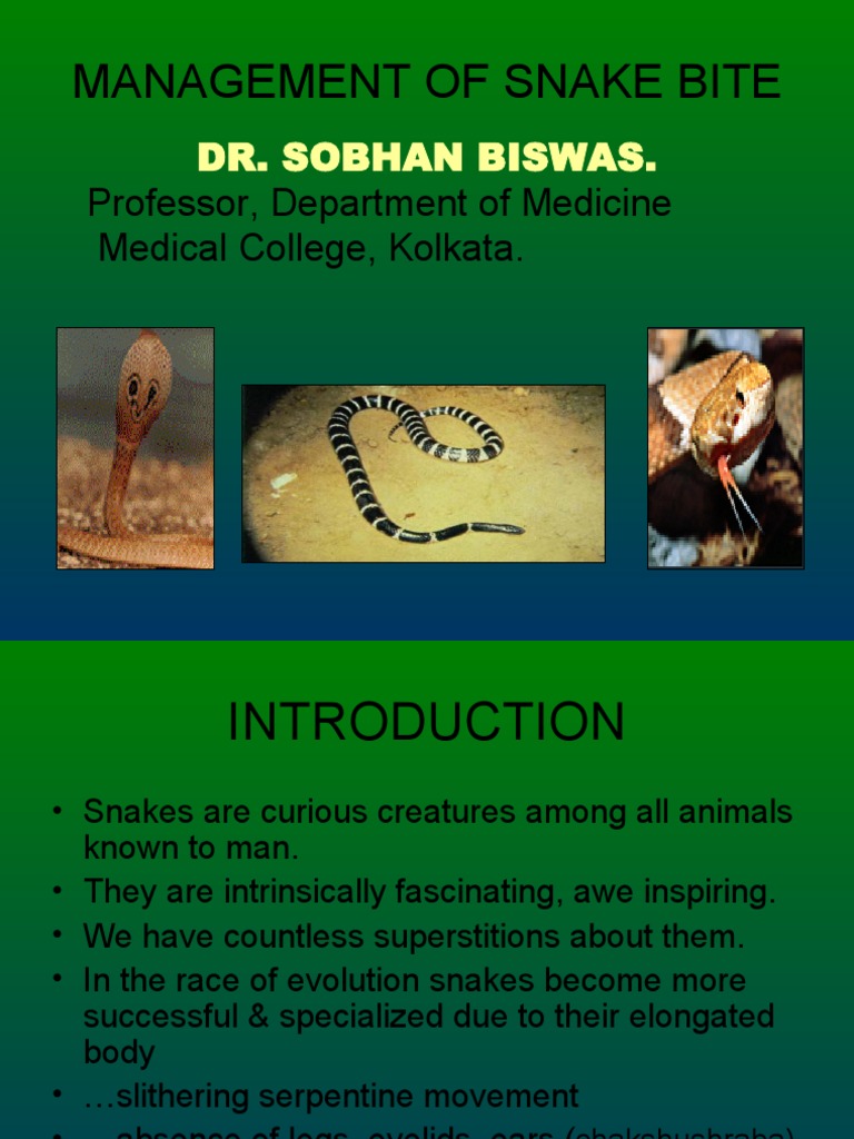 snake bite management | Snake | Neuromuscular Junction