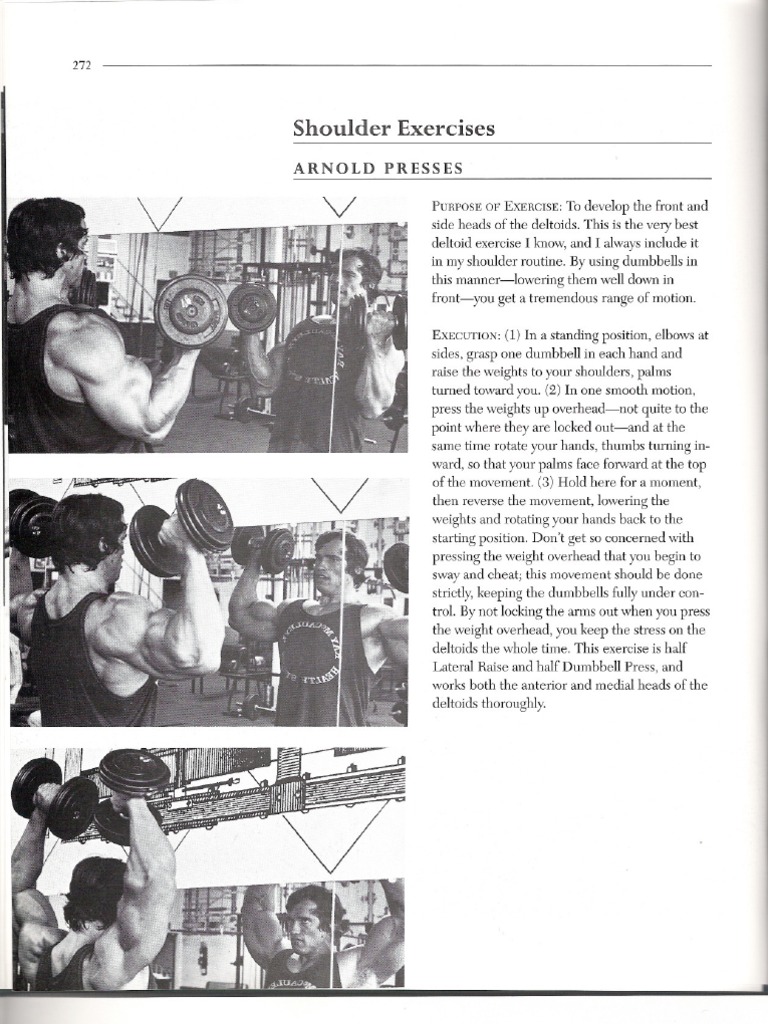 Arnold SchwarzeneggerBodybuilding Encyclopedia Limbs
