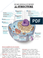 Cell Structure: Anatomy and Physiology Review