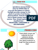 4.3 - Food Web: Producers, Consumers & Decomposers