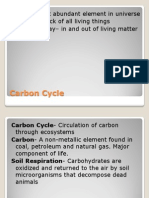 Carbon Cycle3