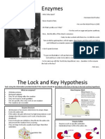 Enzymes Lock & Key Hypothesis