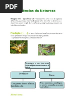 Download Predao - Cincias da Natureza by Elsa SN12071552 doc pdf