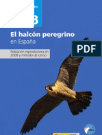 Alcon Peregrino España