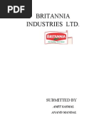 4-Britannia Industries LTD Project