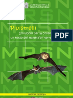 Pipistrelli