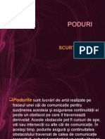 PODURI -SCURT ISTORIC