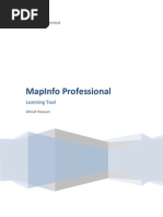 Mapinfo Beginners' Manual