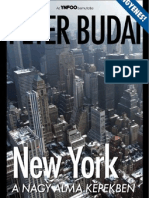 Peter Budai - New York