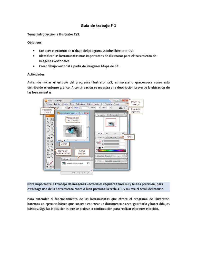 Introducción a Adobe Illustrator CS3 | PDF | Ilustrador Adobe | Point ...