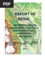 Raport de Mediu