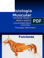 Fisiología Muscular Blog
