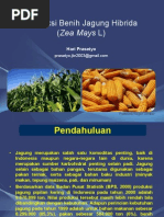 Download Produksi Benih Jagung Hibrida by Hari Prasetyo SN120834856 doc pdf