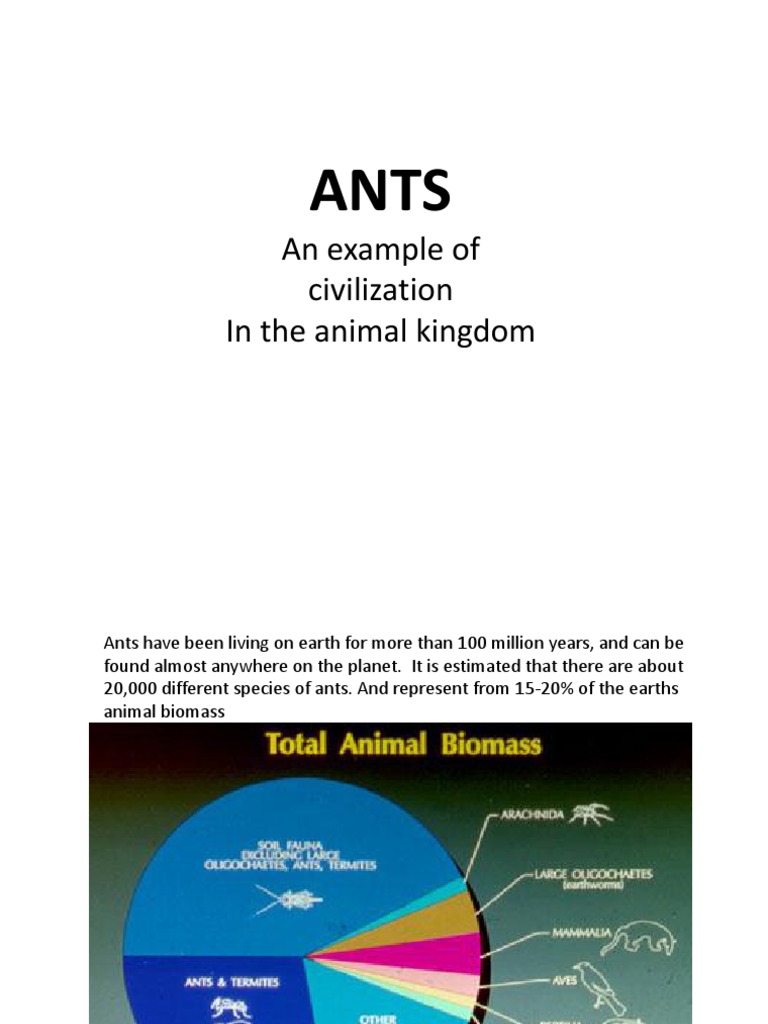Ant Societies: Lessons from Ants | PDF | Ant | Insects