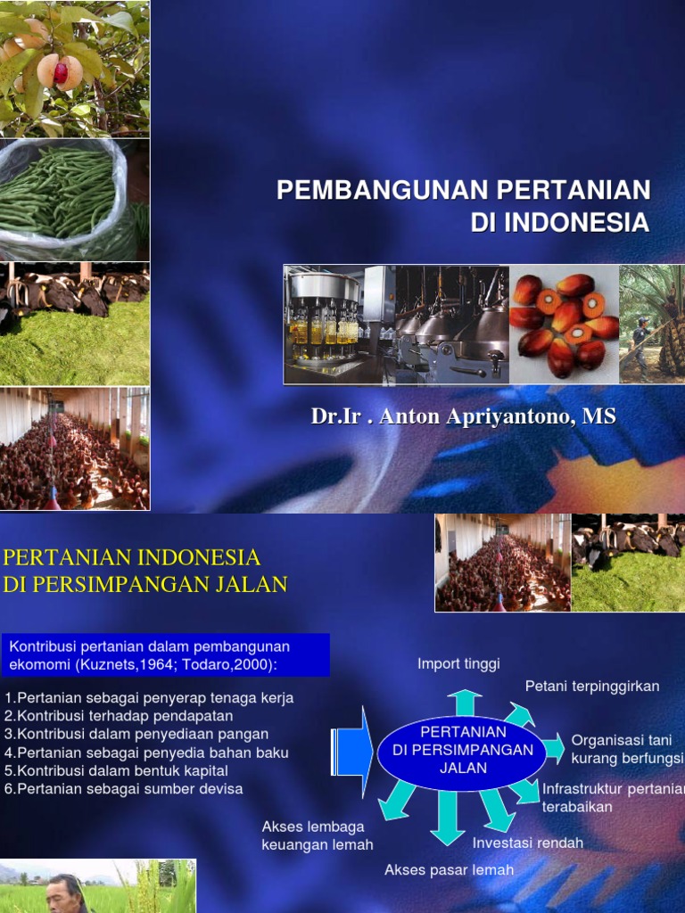 Konsep Pembangunan Pertanian di Indonesia Konsep Pembangunan Pertanian di Indonesia